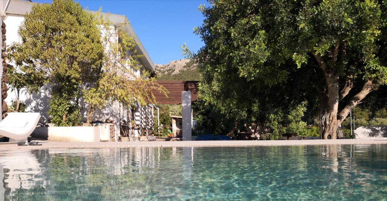 Villa Maria Dorgali Exterior photo