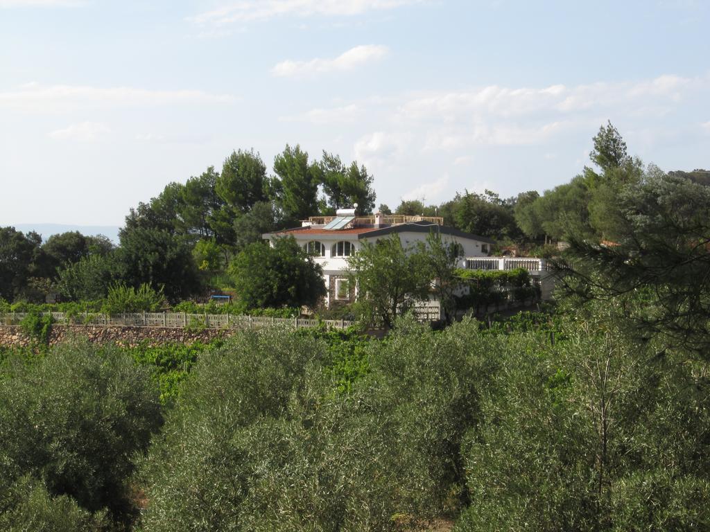 Villa Maria Dorgali Room photo